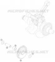 ARBRE D'EQUILIBRAGE pour KTM RC8 2010