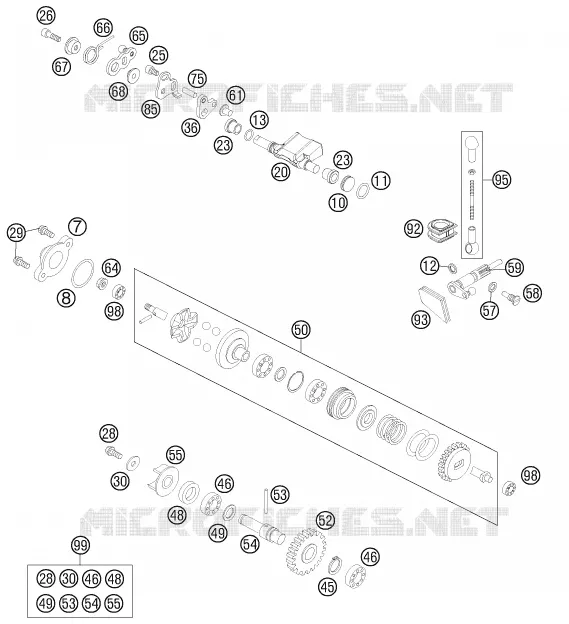 image microfiche