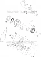 ALLUMAGE pour KTM Duke 2024
