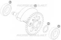 ARBRE D'EQUILIBRAGE pour KTM DUKE 2009