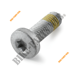 AH collar screw M10x30 ISA45